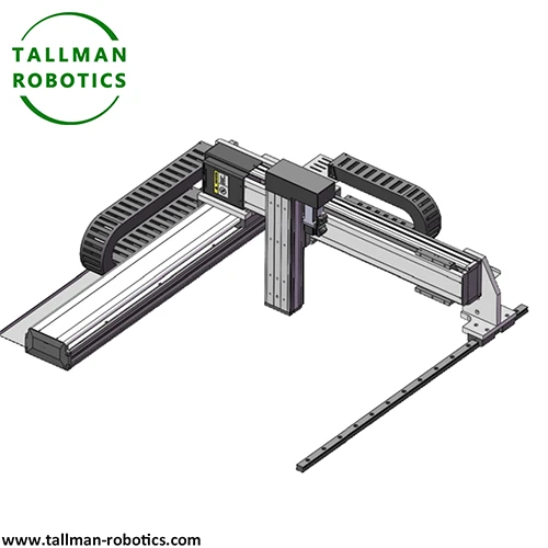 Gantry Robot